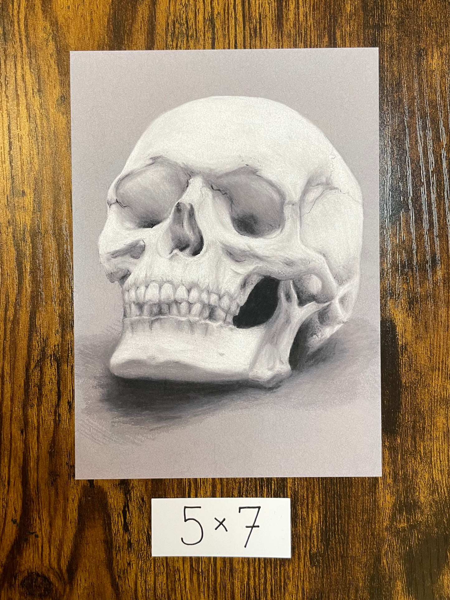 "Human Skull" print