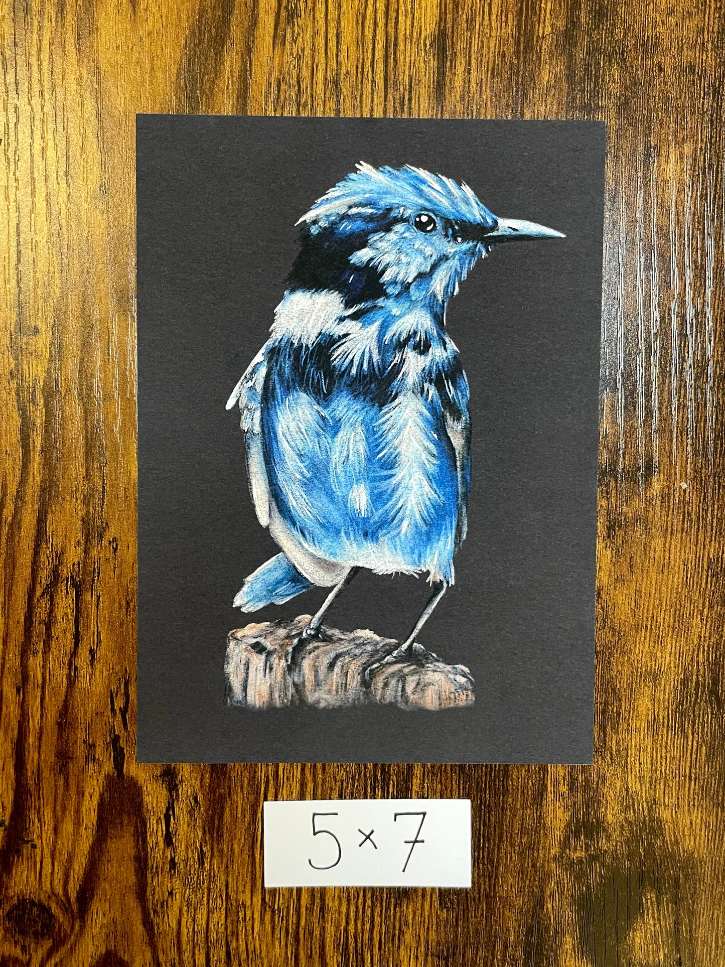 "Blue Bird" print