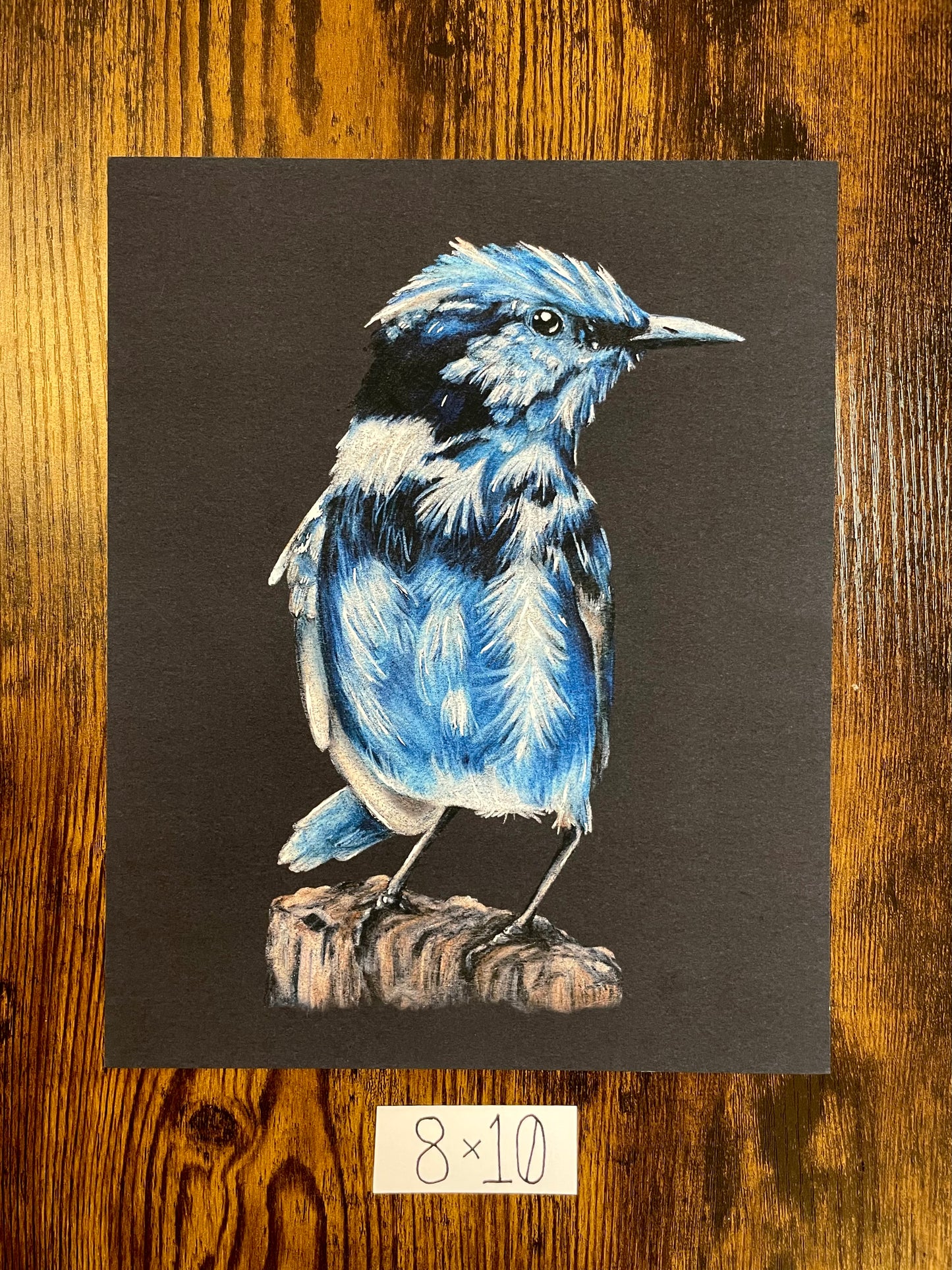 "Blue Bird" print